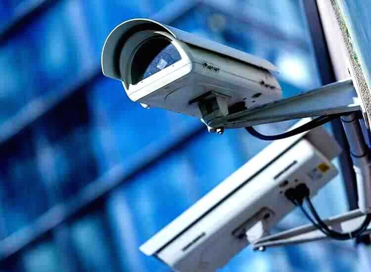 Wildlife camera theft hinders road safety efforts in Gandhinagar - Vimarsana News