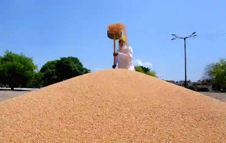 Wheat production estimated at 112.18 million tonnes in 2022-23 - Vimarsana News