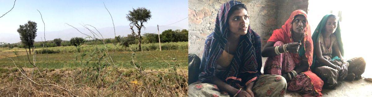 Women of rural Rajasthan beat the odds to emerge successful farmers and livestock rearers - Vimarsana News