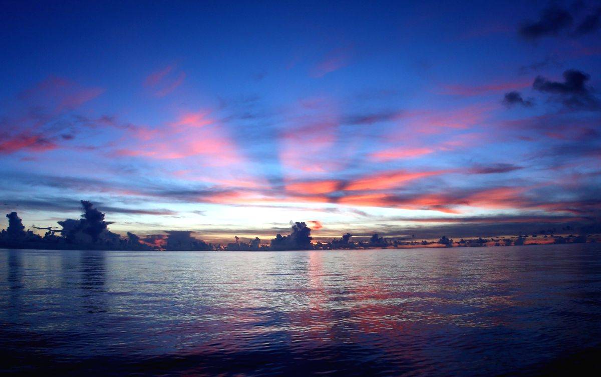 World's oceans break record for highest temperatures 5 years in a row: Study - Vimarsana News