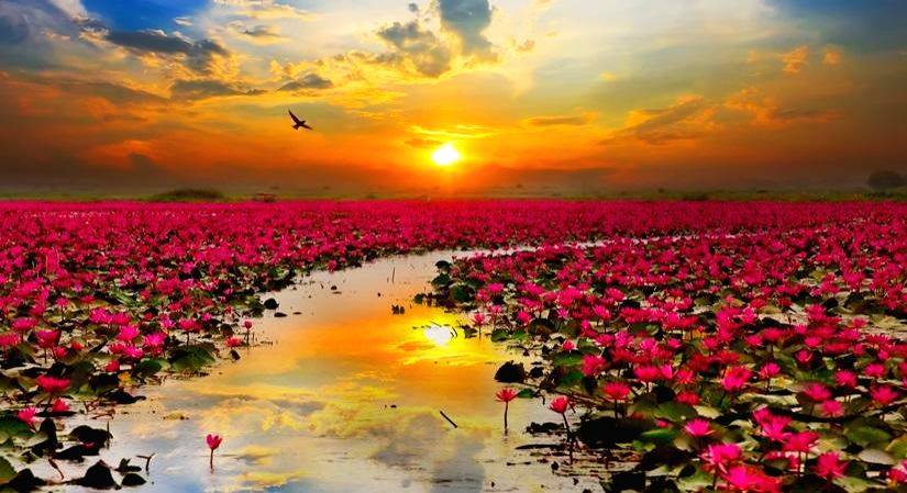 World's cleanest destinations to escape the haze - Vimarsana News