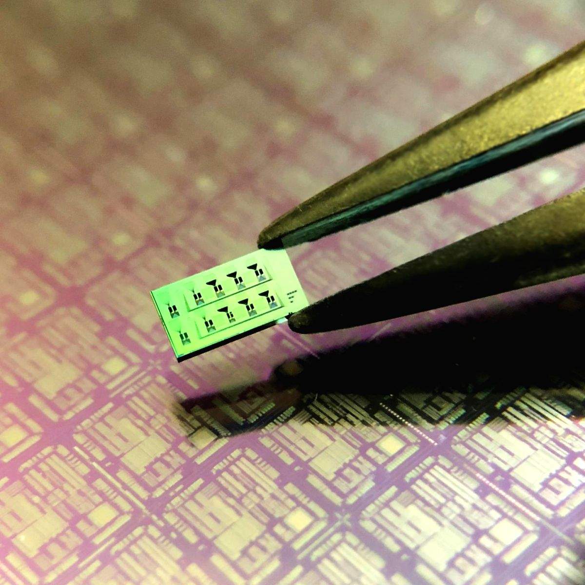 Silicon-based quantum devices to herald new chip era - Vimarsana News