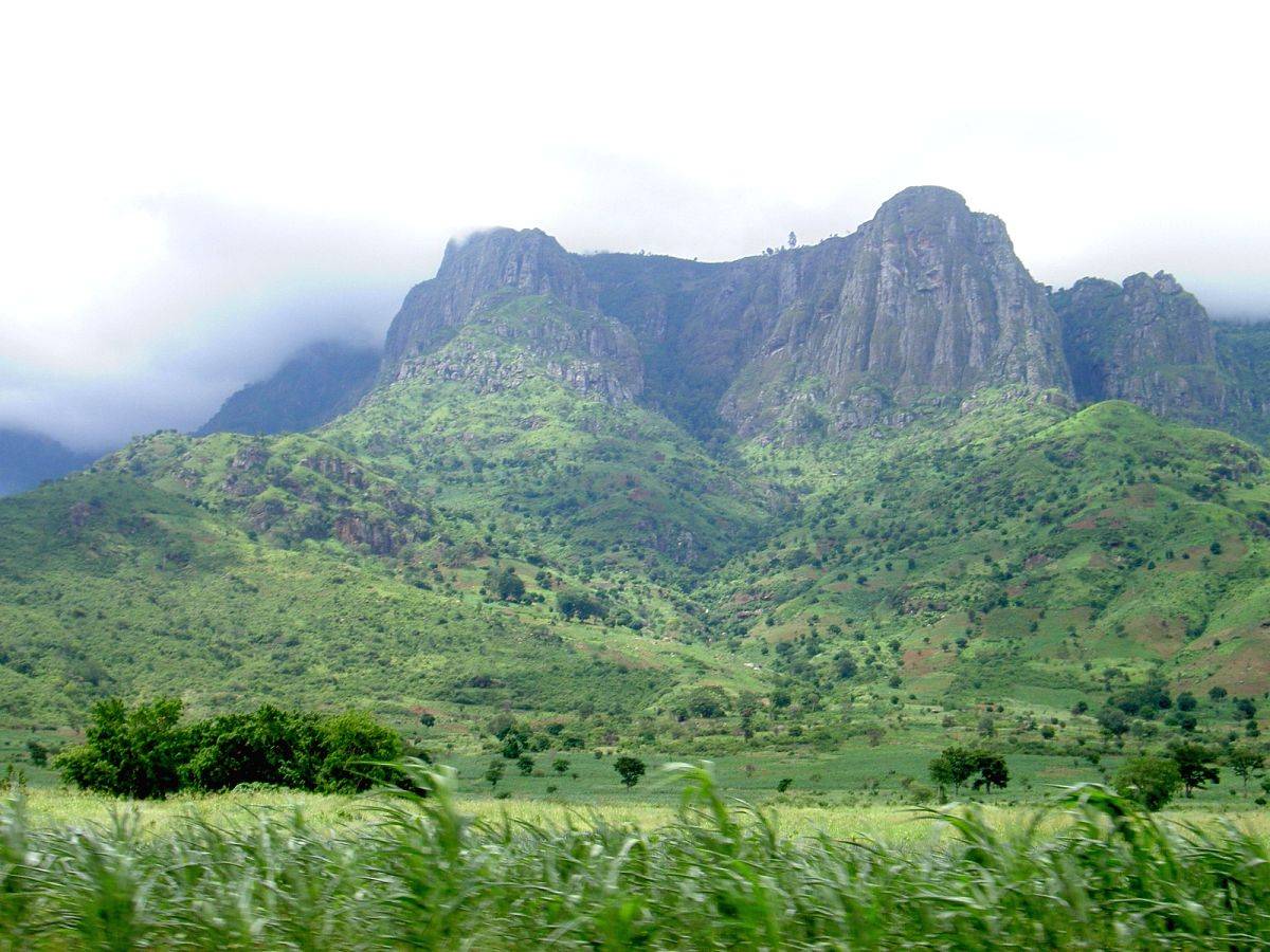 WWF moves to tackle rampant deforestation in Tanzanian mountains - Vimarsana News
