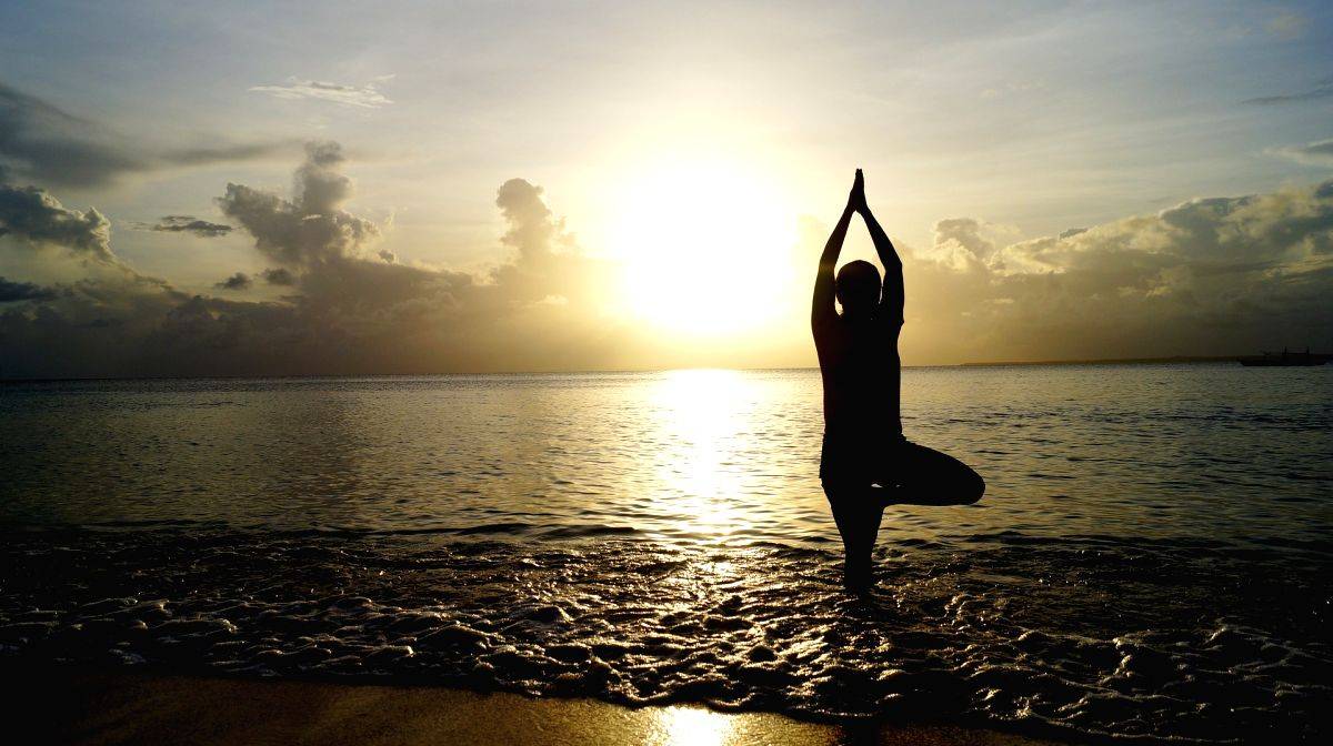 Blow conch shells to keep Covid at bay: Yoga experts - Vimarsana News