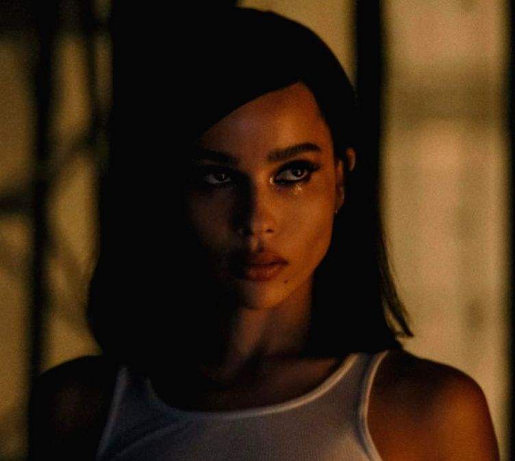 Zoe Kravitz studied cats, lions for her 'Catwoman' role - Vimarsana News