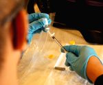 Trump defends splitting childhood vaccines