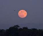 Sharad Purnima - October 25, 2026: The Brightest Full Moon of the Autumn Season 
