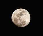 Purnima Vrat in September