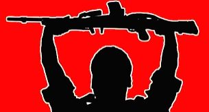 56 Forward Operating Bases up in Maoist-affected areas, more soon: CRPF - Vimarsana News