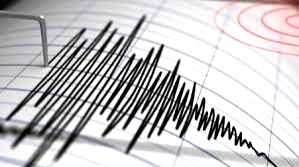 5.0-magnitude quake hits Indonesia - Vimarsana News