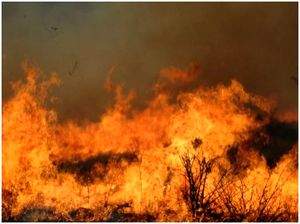 50 huts gutted in fire in Telangana's Karimnagar town - Vimarsana News