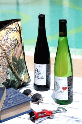 6 best wines for 2023 - Vimarsana News