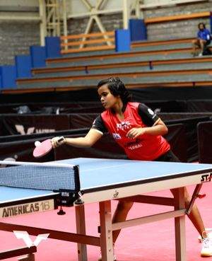 Adani Group to support table tennis sensation Poymantee Baisya - Vimarsana News