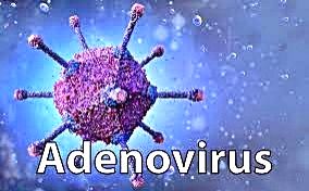Central body cautions Bengal govt over deadly adenovirus variant in kids - Vimarsana News