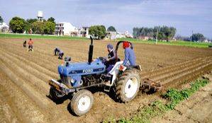 Agricultural sector is bedrock of nation's economy: Economy Review - Vimarsana News