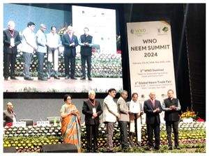 Agro experts see Neem as a forestry plantation option for India - Vimarsana News