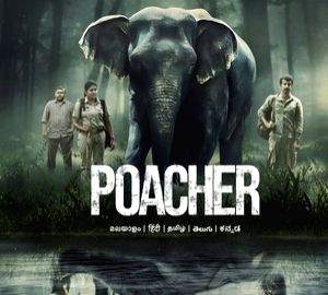 Alia Bhatt says 'it's a call to embrace coexistence' with 'Poacher' - Vimarsana News