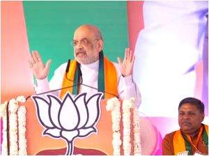 Give all 29 LS seats to BJP: Amit Shah to MP voters - Vimarsana News