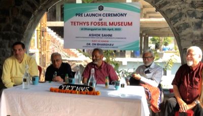 Built from 20 million-year-old rocks, fossil museum in Kasauli pre-launched - Vimarsana News