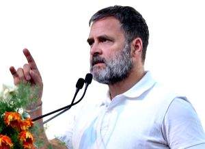 IANS Interview: Rahul Gandhi remains untested as leader, says economist Surjit Bhalla - Vimarsana News