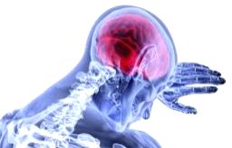 Paradromics inches closer to FDA approval for brain implant - Vimarsana News