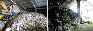 British-Indian fined for demanding cash from Environment Agency officers - Vimarsana News