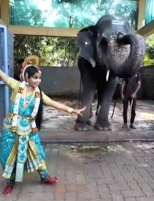 Business magnate Anand Mahindra's latest video from K'taka temple wins hearts - Vimarsana News