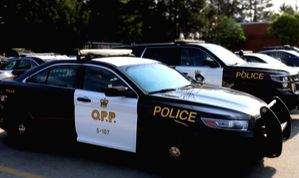 Canadian Sikh driver surrenders in 2021 fatal car crash case - Vimarsana News