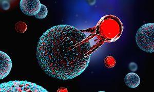 CAR T-Cell therapy revolutionised landscape of cancer treatment: Doctors - Vimarsana News