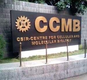 CCMB, Aganitha to apply Generative AI for therapeutic design, research - Vimarsana News