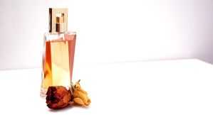 Celebrities' influence on the fragrance business - Vimarsana News