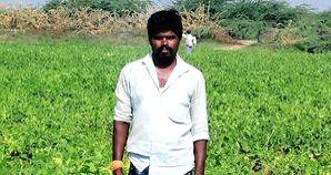 Chilli leaves a bad taste as losses mount for cultivators in Andhra Pradesh's Bandur - Vimarsana News