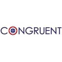 Congruent Solutions appoints Mahesh Natarajan as Chief Revenue Officer - Vimarsana News