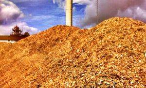 Cooking with biomass fuel in Northeast may pose alarming health risks: IIT-Mandi study - Vimarsana News