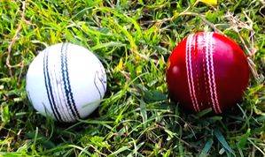 White ball or Test team, both need killer punch for success in world cricket - Vimarsana News