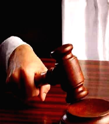 Court tells TN govt to allow Assam delegation to meet elephant Joymala - Vimarsana News