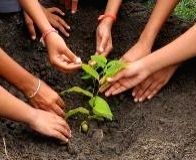 TN district to create world record by planting 6L tree saplings in 6 hrs - Vimarsana News