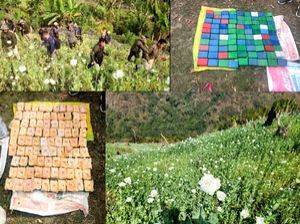 Drugs valued at Rs 7,887.76 cr seized; 2,943 held in 7 years in Manipur: Official - Vimarsana News