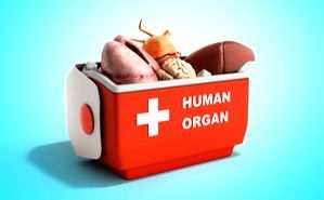 Fake NOC case: Raj govt suspends Manipal Hospital's certificate to conduct organ transplant - Vimarsana News
