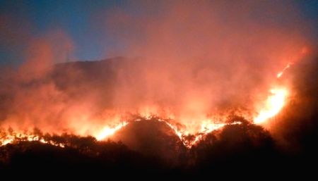 New report offers solutions for planetary crisis like wildfires - Vimarsana News