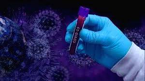India sees rise in cases of Covid, flu; docs advise not to panic - Vimarsana News