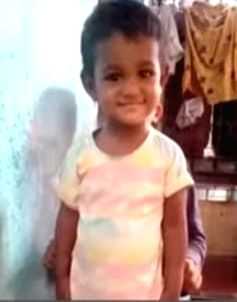 Four-year-old girl attacked by stray dog, succumbs in Karnataka - Vimarsana News