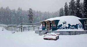 Light snowfall in hills, rain in plains of J&K - Vimarsana News