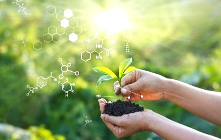 Govt allows genome edited plants, activists, academics divided over move - Vimarsana News