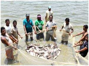 Govt ropes in ONDC to bring fishermen on e-market platform - Vimarsana News