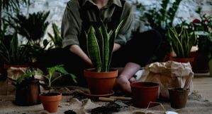Green energy for millennials - Vimarsana News