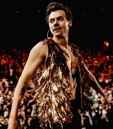 Harry Styles' body, soul-baring performance in 'My Policeman' seduces Toronto - Vimarsana News