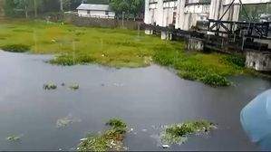Incessant rain hits normal life, connectivity in Manipur; multiple areas flooded - Vimarsana News