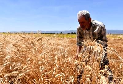 India opens new trade route to aid Nepal get fertiliser from Bangladesh - Vimarsana News