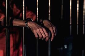 College student held for smuggling firearms in Bihar's Arwal - Vimarsana News